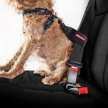 EZYDOG SEAT BELT RESTRAINT