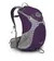 Osprey Sirrus 24 Womens Small Backpack - Amethyst